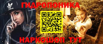 кокс Пугачёв