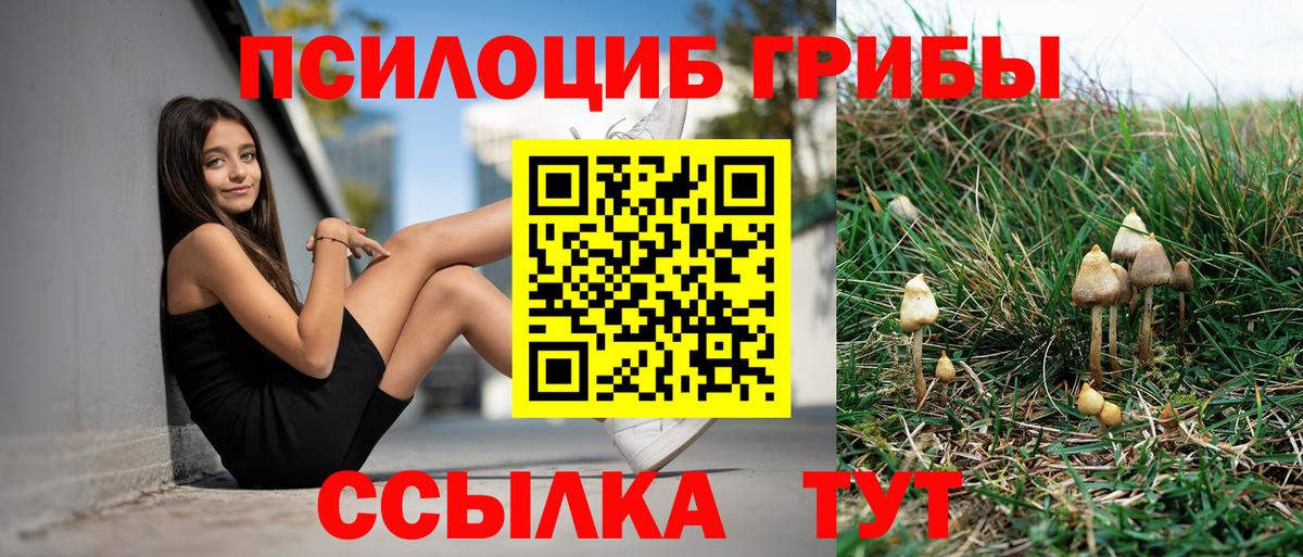 Псилоцибиновые грибы Magic Shrooms  Галлюциногенные грибы прущие грибы  Самара  Вход с VPN 