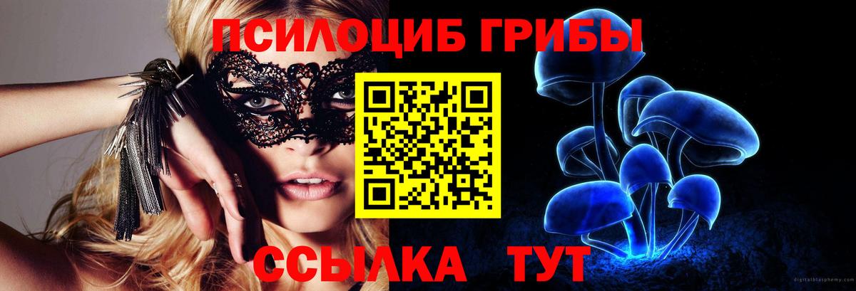 Псилоцибиновые грибы мицелий Самара